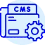 عوامل موثر بر قیمت - نوع cms سایت