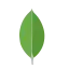 MongoDB logo