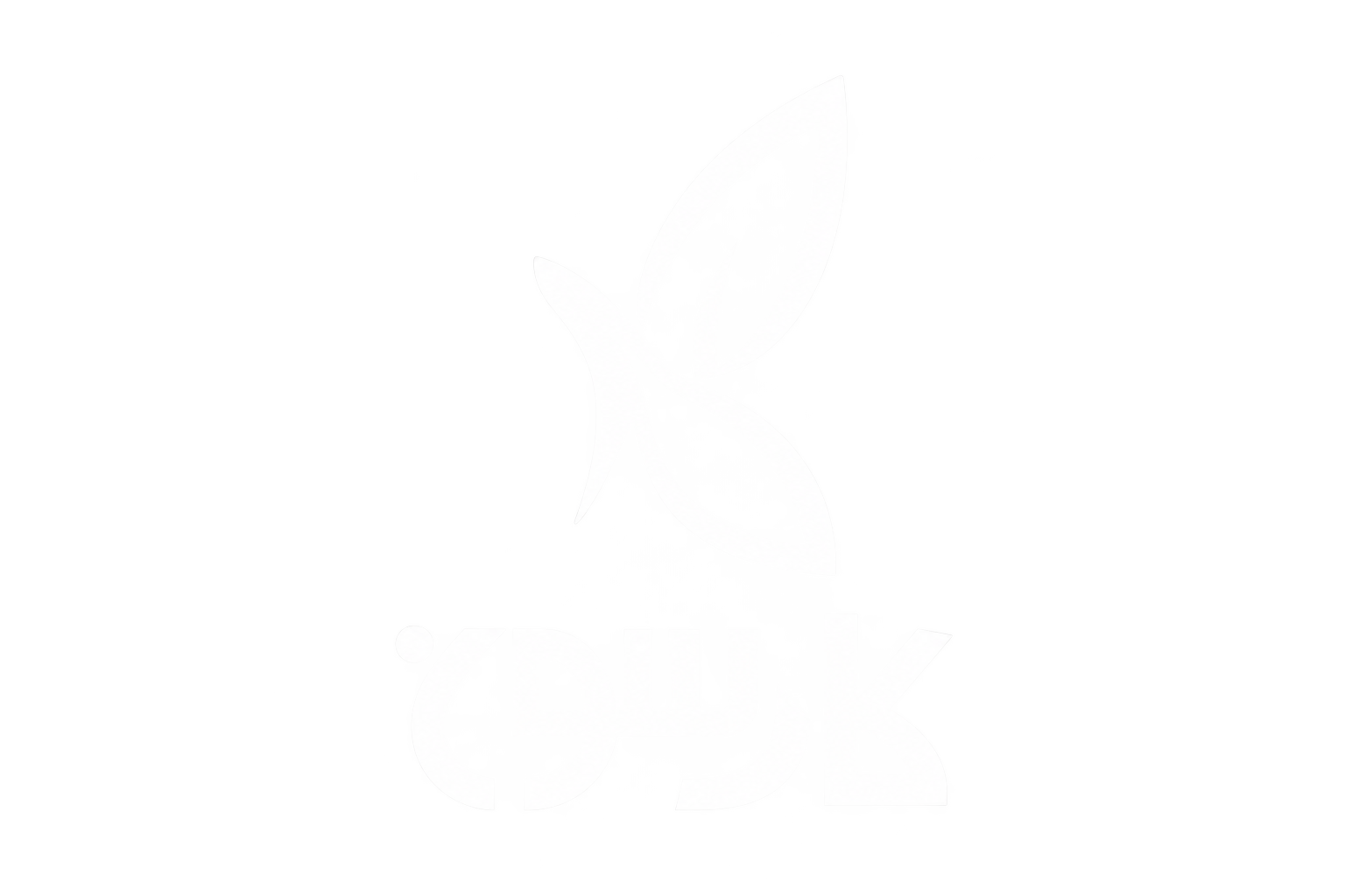 لوگوی کارسون